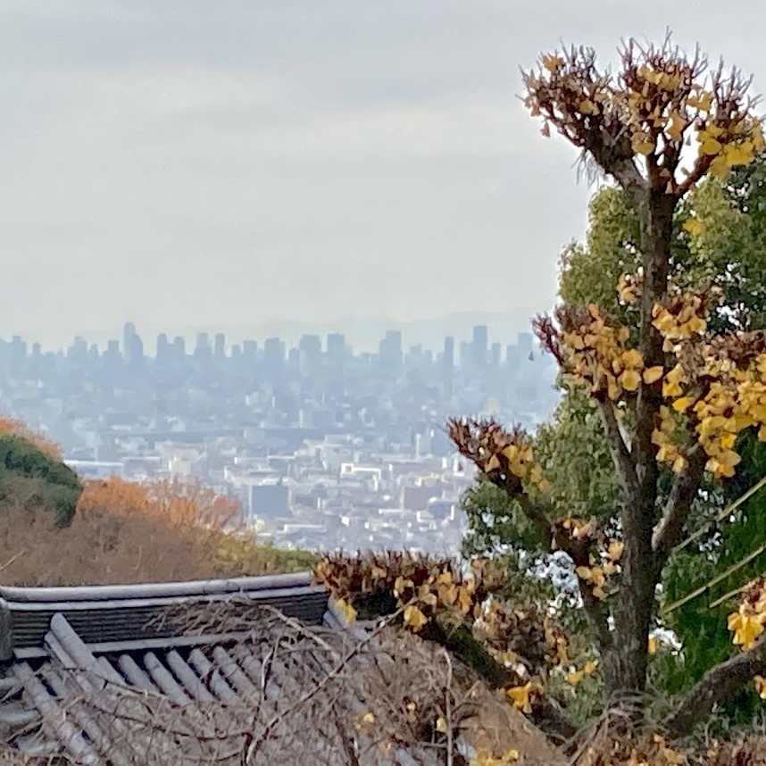 碑の文字を読めたふりして峠道 Okano Note